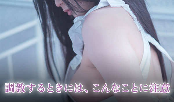 調教するときにはこんなことに注意